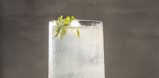 Make Your Drink of the Summer the G&T-Plus