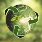 Best Practices in Choosing Green Products