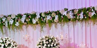 Caribbean’s #1 Paletas Company Announces Launch of Events Division in U.S.