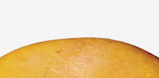 Are You Ready for the Cheesepocalypse?