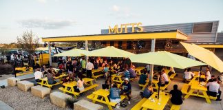 MUTTS Canine Cantina to Expand its Pawprint from Dallas to Denver