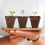 Organically Grow an Online Presence for Your Restaurant
