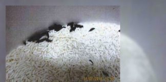 Rat faeces found in rice at Two Sisters Lao Thai Cuisine in Canberra city – ABC News