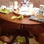 Family shamed for trashing Harvester restaurant during meal – NEWS.com