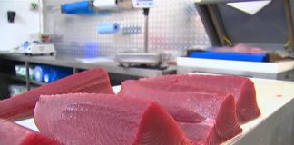 Coles to stock restaurant-quality Australian seafood due to coronavirus crisis – 7NEWS.com.au