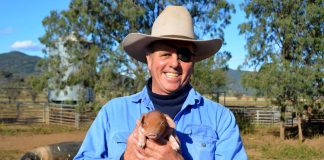 Gunnedah Oakleigh Pasture Pork featured in Susuru Ramen & Gyoza Restaurant dish – Namoi Valley Independent
