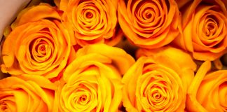 CARE OF CUT FLOWERS TO KEEP THEM FRESH IN YOUR RESTURANT