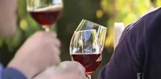 How much does restaurant design impact your meal? – ABC News