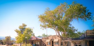 In California’s High Desert, One Restaurant Group Rethinks Its Business Model – Eater LA