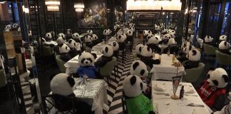 German restaurant packed with stuffed pandas in coronavirus protest – Euronews