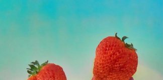 Why Do These Strawberries Cost $5 Each?