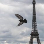 Outrage over ‘secret restaurants’ in Paris – The West Australian