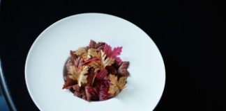 The long launch: the trials and tribulations of opening a restaurant mid-pandemic – Sydney Morning Herald