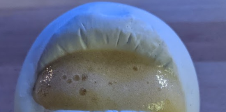 A viral review eviscerated a Michelin-starred restaurant for serving citrus foam inside a mold of the chef’s mouth – Business Insider Australia