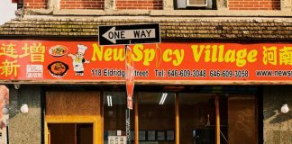 The Spicy Mystery of New Spicy Village