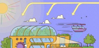 The Restaurant Goes Radical