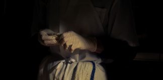 A Journey Down the Borscht River