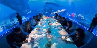Take A Sneak Peek Inside The World’s Most Expensive Restaurant – DMARGE