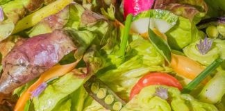 A Lovely New Salad That’s Also Pure Garbage