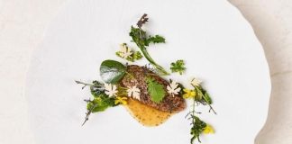Pescetarian Restaurant, Geranium, Wins Title of Best Restaurant in the World – Green Matters