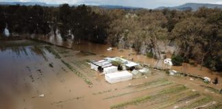 Melbourne restaurant veg star Somerset Heritage’s crops decimated by Seymour floods – Good Food