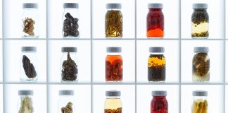 Alchemist: Is this the world’s most creative restaurant? – BBC