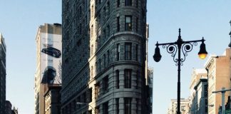 Can Tacombi Become the Next Shake Shack?