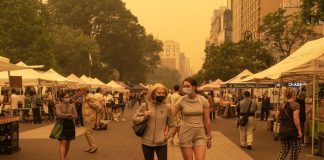 New York Restaurants Are Shutting Down Until the Smoke Clears