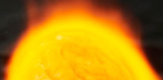 Welcome to the Era of the Quickie Omakase