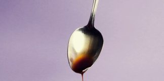 A New Pop-up Makes Fungus the Focus