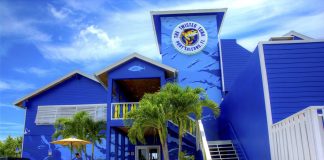 A Small Victory in The Twisted Tuna vs Sid Sethi Legal Case