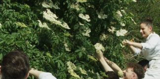 On Film, the Romance of French Cooking Is Forever