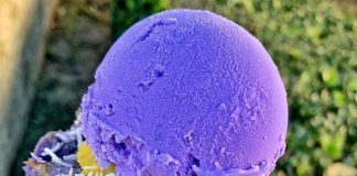 Ube Dessert and Coffee Franchise, Café 86, Announces New Stores for California