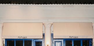 What Really Happened to Horses