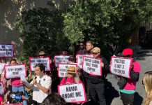 Where Does Noma Go Now?