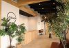 Boban Accelerates 2026 Expansion Following Strong Performance of Second Garden Grove Location