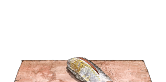 The Best Food of 2026 (So Far)