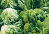 Everyone’s Worried About Cyclosporiasis — Except New York Restaurants