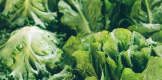 Everyone’s Worried About Cyclosporiasis — Except New York Restaurants