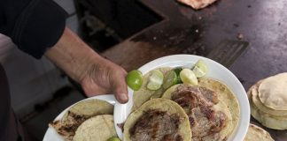 Mexico City’s El Califa de León Arrives in New York